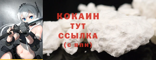 крисы Баксан
