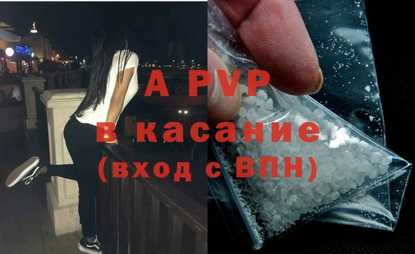 крисы Баксан